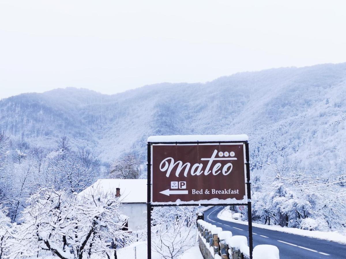 Mateo Transalpina Hotel Săsciori Eksteriør billede