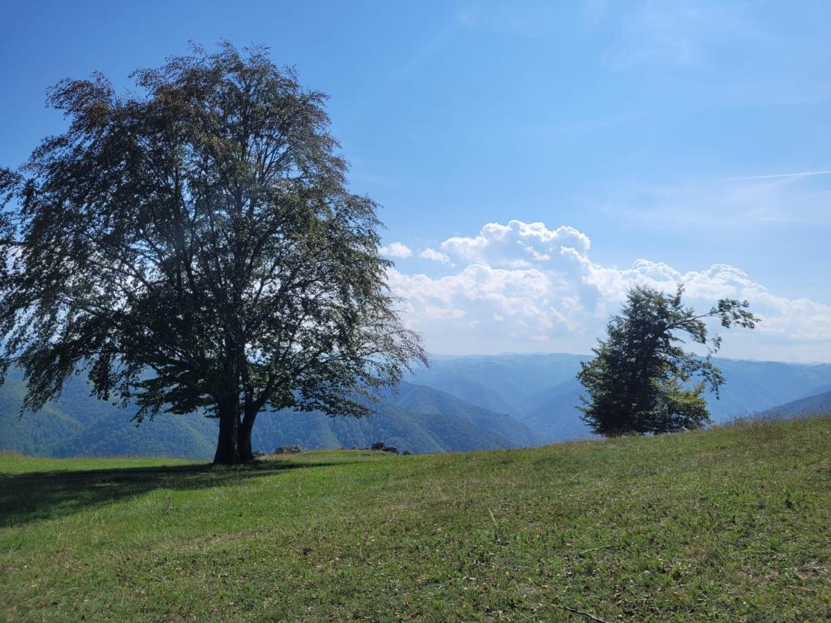 Mateo Transalpina Hotel Săsciori Eksteriør billede