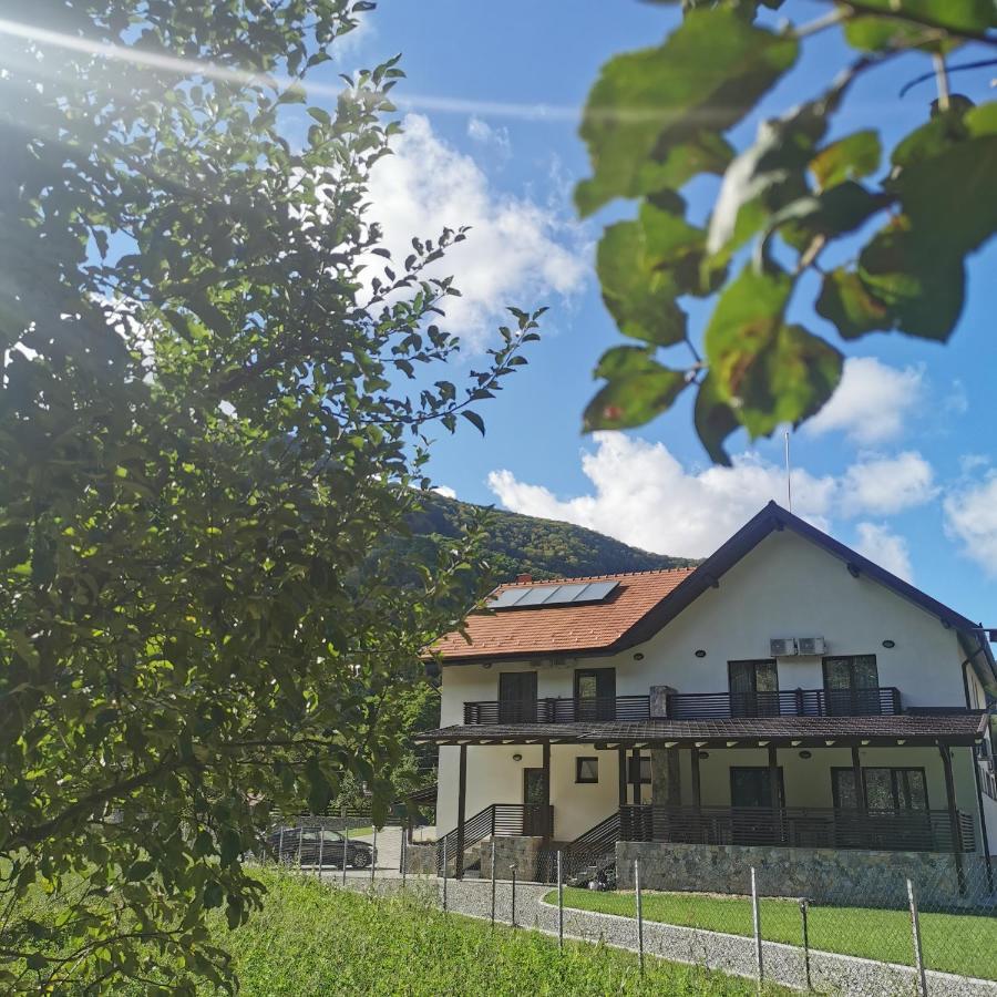 Mateo Transalpina Hotel Săsciori Eksteriør billede