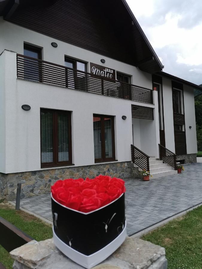 Mateo Transalpina Hotel Săsciori Eksteriør billede