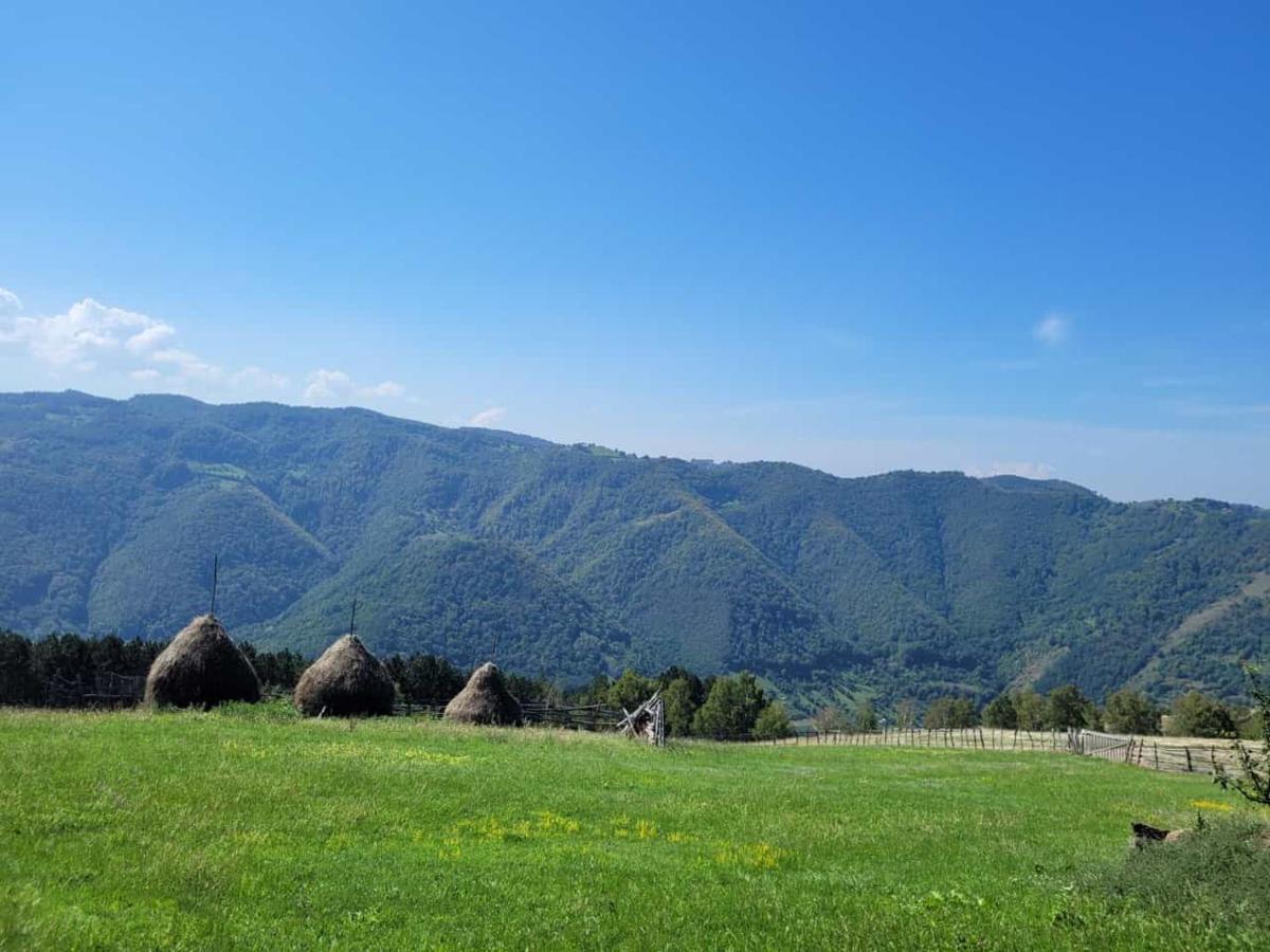 Mateo Transalpina Hotel Săsciori Eksteriør billede
