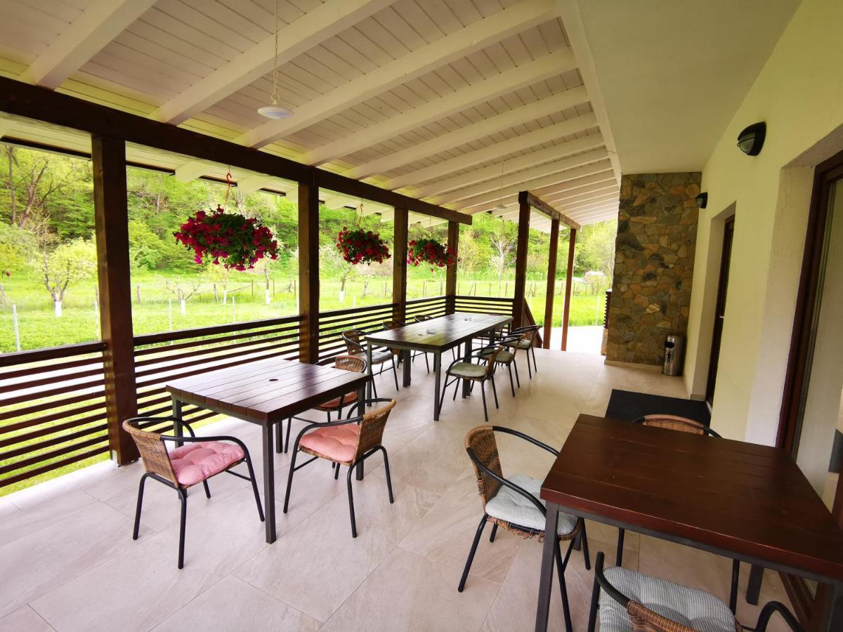 Mateo Transalpina Hotel Săsciori Eksteriør billede